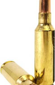 Armscor FAC65CIN USA  6.5Creedmoor 123gr Hollow Point Boat Tail 20 Per Box/10 Case