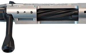 P2 IN-00277 SKLTN LA LH STANDARD SS