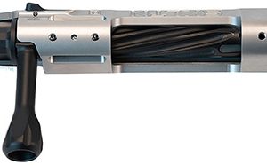 P2 IN-00281 SKLTN SA LH STANDARD SS