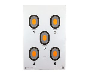 ACTION TGT ORG CENTER 5 BLSEYE 100PK