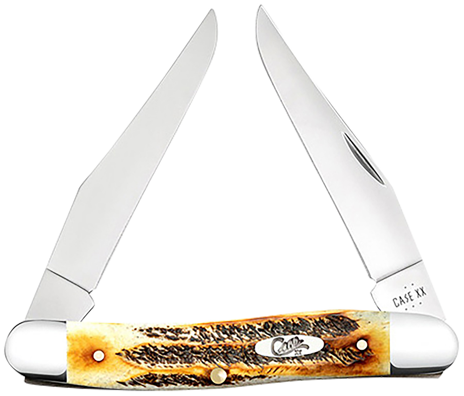 Case 65346 Muskrat 2.90" Folding Clip Point Plain Polished Tru-Sharp SS Blade, Burnt Dark Amber 6.5 BoneStag Handle